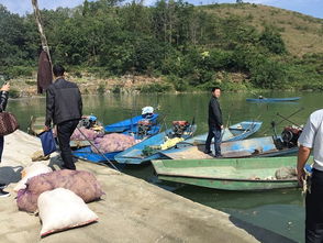 貴州安順市畜牧獸醫(yī)局開(kāi)展?jié)O業(yè)船舶安全生產(chǎn)隱患大檢查 筑牢畜牧漁業(yè)飼料銷(xiāo)售安全防線